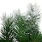 36" Snowy Flocked Angel Pine with Pinecones Artificial Christmas Wreath